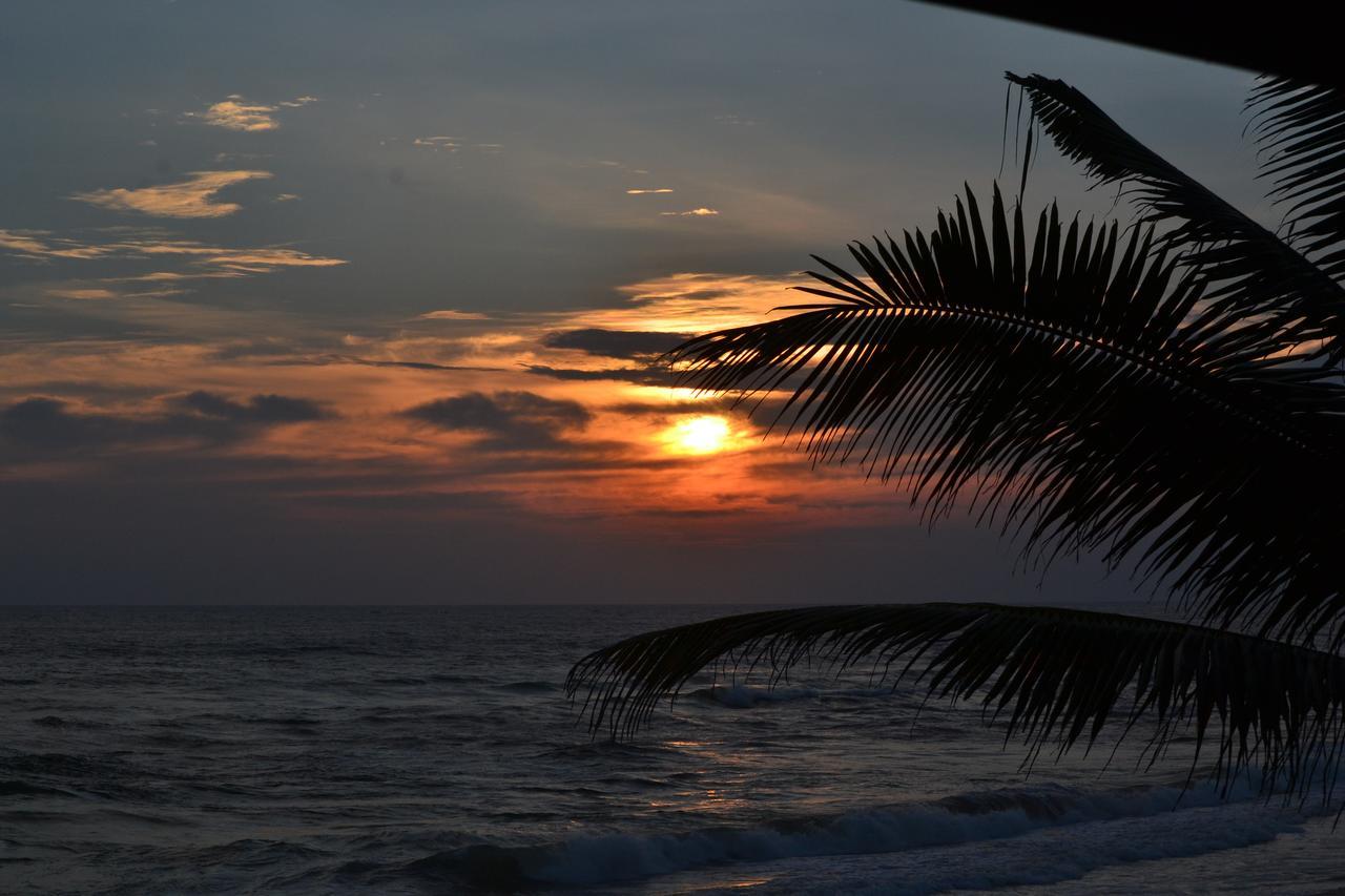 South Beach Resort Коггала Екстер'єр фото